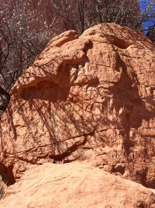 FullSizeRender (259) - Copy