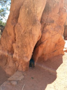 FullSizeRender (261) - Copy