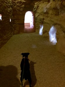 FullSizeRender (266) - Copy