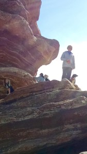 FullSizeRender (273) - Copy