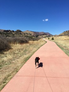 FullSizeRender (276) - Copy