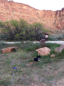 FullSizeRender (282) - Copy