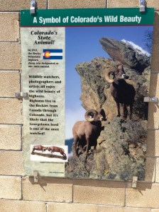 FullSizeRender (289) - Copy