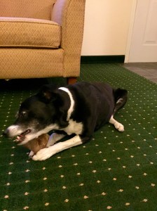 FullSizeRender (293) - Copy