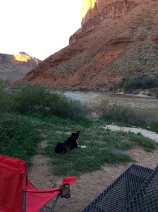 FullSizeRender (300) - Copy