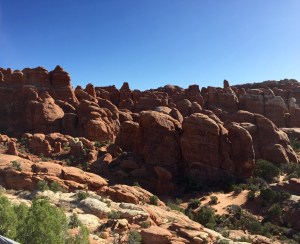 FullSizeRender (312) - Copy