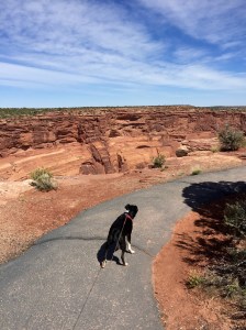 FullSizeRender (320) - Copy