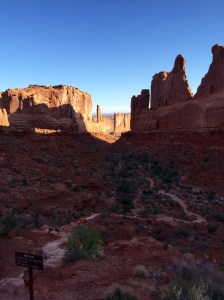 FullSizeRender (324) - Copy