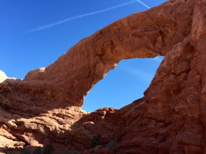 FullSizeRender (335) - Copy