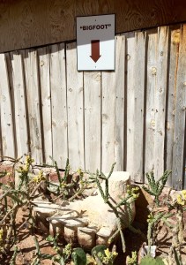 FullSizeRender (347) - Copy