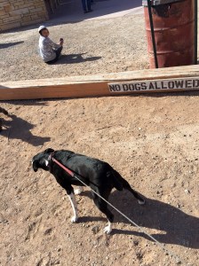 FullSizeRender (359) - Copy