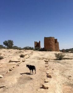 FullSizeRender (362) - Copy