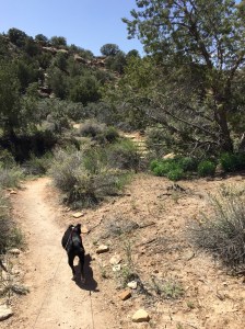 FullSizeRender (363) - Copy