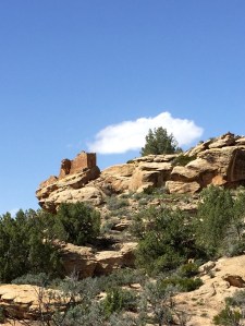 FullSizeRender (364) - Copy