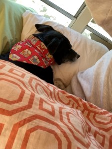 FullSizeRender (366) - Copy