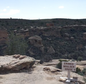 FullSizeRender (372) - Copy