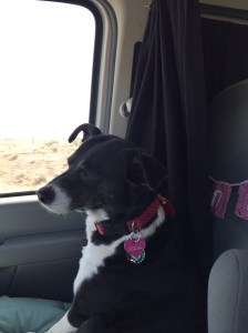 FullSizeRender (378) - Copy