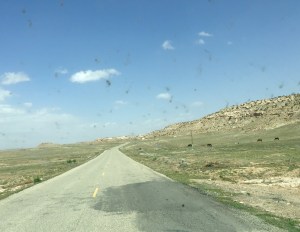 FullSizeRender (389) - Copy