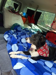 FullSizeRender (399) - Copy