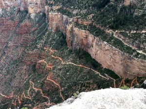 FullSizeRender (400) - Copy