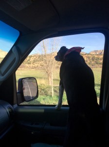 FullSizeRender (410) - Copy