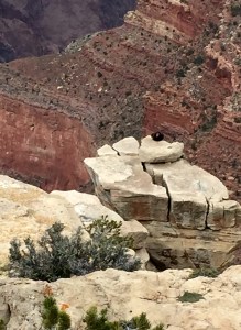 FullSizeRender (430) - Copy