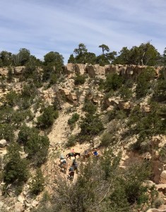 FullSizeRender (441) - Copy