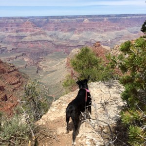 FullSizeRender (443) - Copy