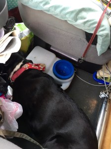 FullSizeRender (444) - Copy