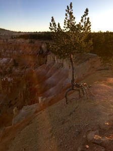 FullSizeRender (446) - Copy