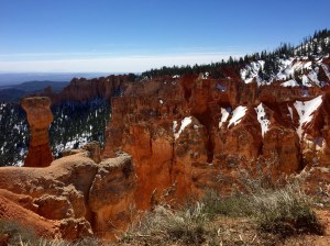 FullSizeRender (453) - Copy