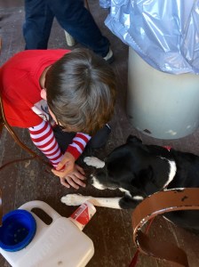 FullSizeRender (454) - Copy