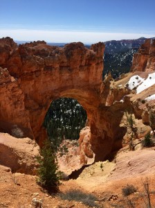 FullSizeRender (455) - Copy