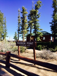 FullSizeRender (456) - Copy