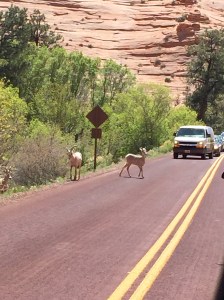 FullSizeRender (471) - Copy