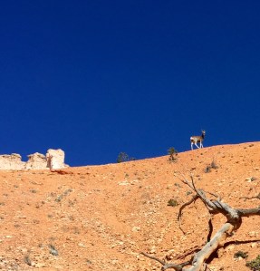 FullSizeRender (475) - Copy