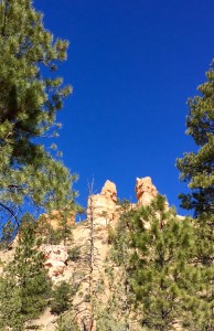 FullSizeRender (484) - Copy