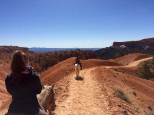 FullSizeRender (486) - Copy