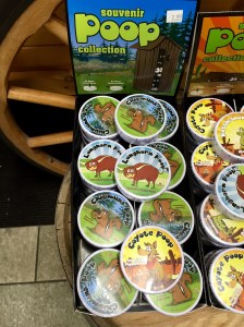 FullSizeRender (491) - Copy