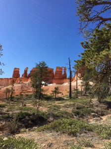 FullSizeRender (495) - Copy