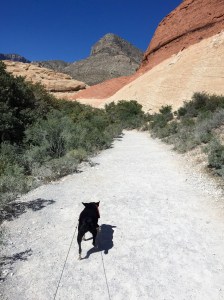 FullSizeRender (496) - Copy