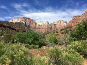 FullSizeRender (504) - Copy