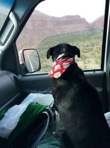 FullSizeRender (508) - Copy