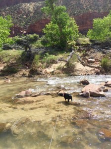 FullSizeRender (515) - Copy