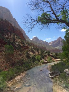 FullSizeRender (521) - Copy