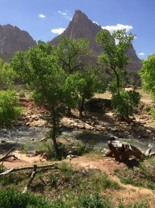 FullSizeRender (527) - Copy