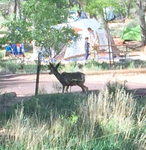 FullSizeRender (540) - Copy