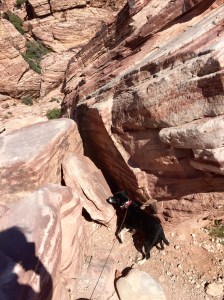 FullSizeRender (560) - Copy