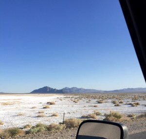 FullSizeRender (566) - Copy