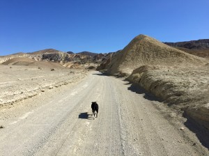 FullSizeRender (597) - Copy